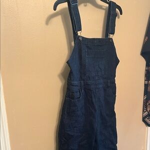 Pilcro and the Letterpress Dark Blue Denim Overalls